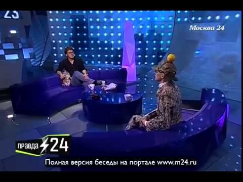 Мяукающие рекламные щиты