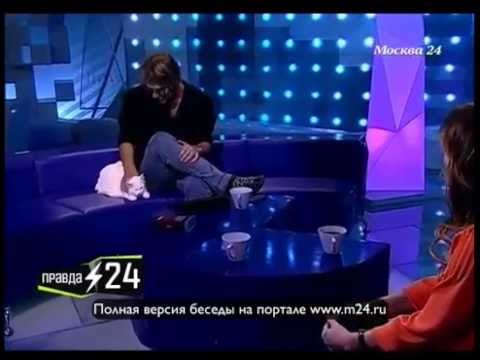 Кот Синбад
