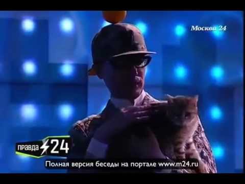 Андрей Бартенев не испугался кошки