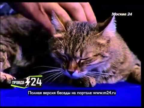 Вера Звонарева: «Хочу играть»