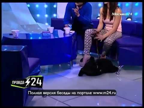 Вазген и Тайсон