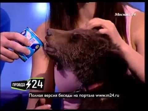 Издевательство над животными