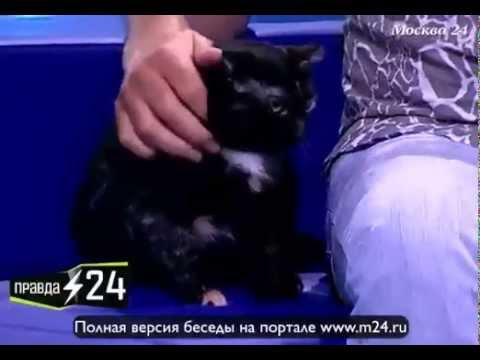 Из Феклы сыплется песок