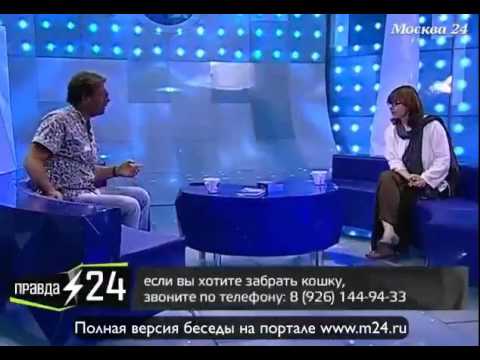 Музейная кошка