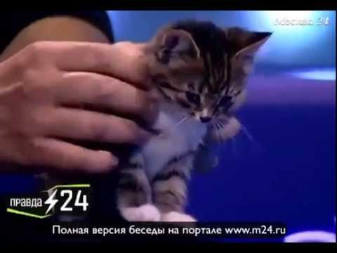 Оксана Федорова: «Кошка обнаружила, что я беременна»