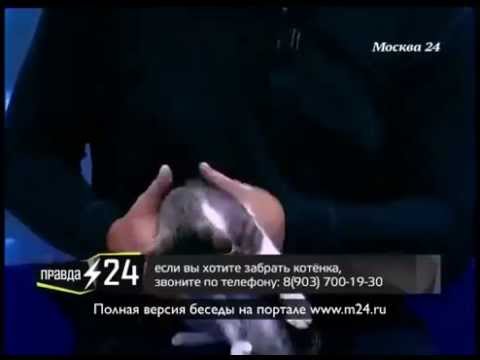 Главное – расслабить модель