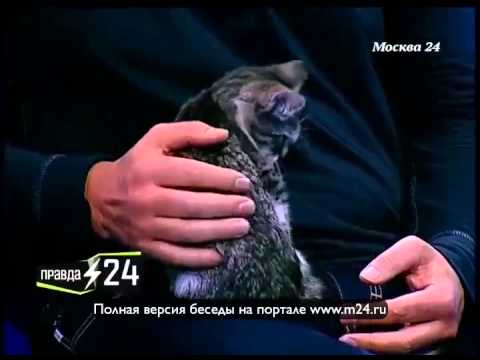 Широков о конкурентах