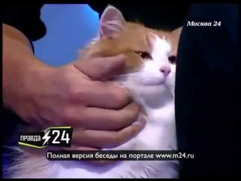 Николая Бурляева укусила собака