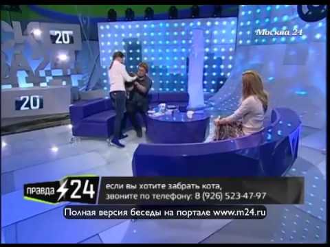 Полюбили кота