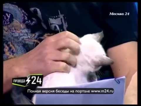 Дуэт Валерий Сюткин и Никита Михалков