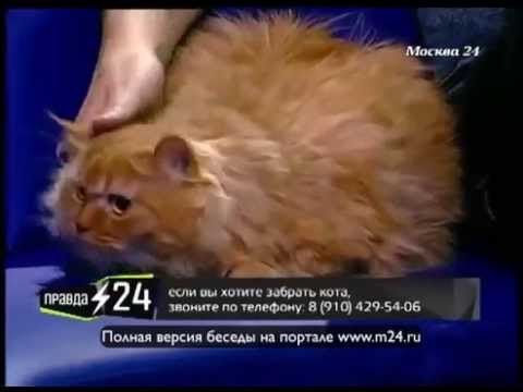 Вера Глаголева: «В детстве у меня был любимый пупс и боксерские перчатки»