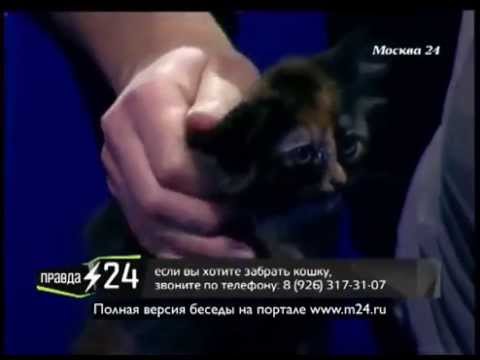 Леонид Ярмольник: «Раньше все было настоящее и скрупулезное»
