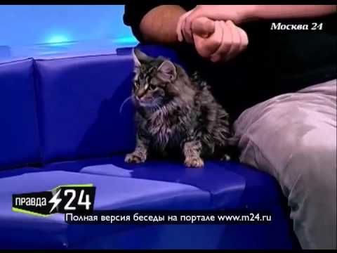 Моцарт нашего времени