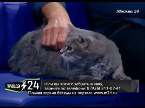 Вне зоны кино