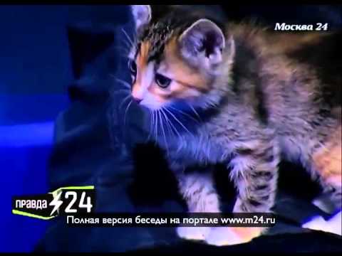 Ксении Кутеповой нравится муж сестры
